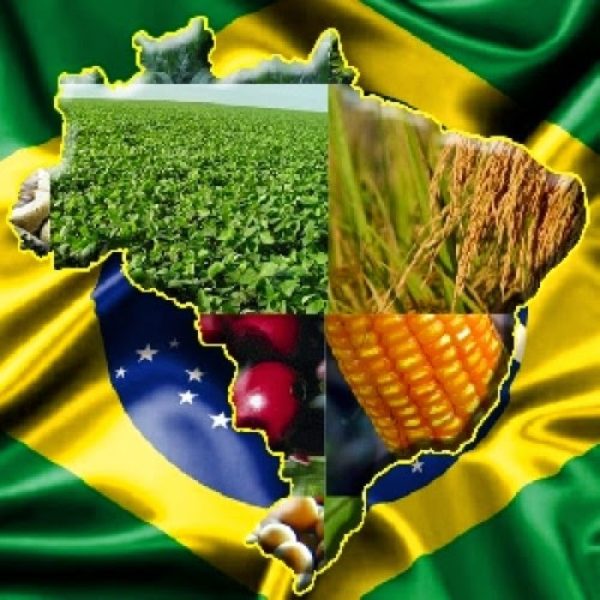 Agronegócio Brasileiro Fatura Mais De Us 8 7 Bilhões Em Março